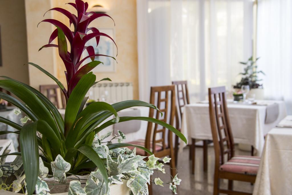 Hotel Rita リッチョーネ エクステリア 写真